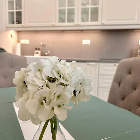 Vibrant L Stylish 2bd In Center Варна